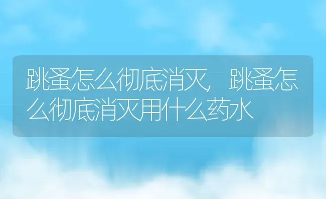 跳蚤怎么彻底消灭,跳蚤怎么彻底消灭用什么药水 | 养殖科普