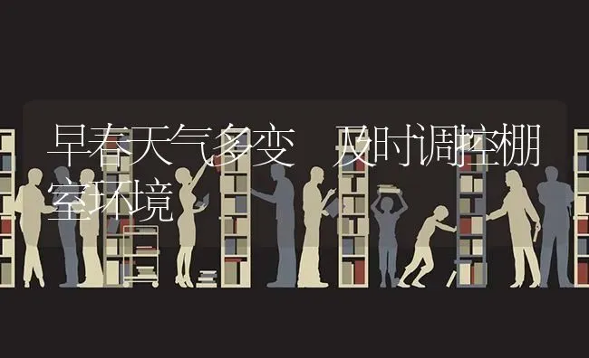 早春天气多变 及时调控棚室环境 | 养殖技术大全