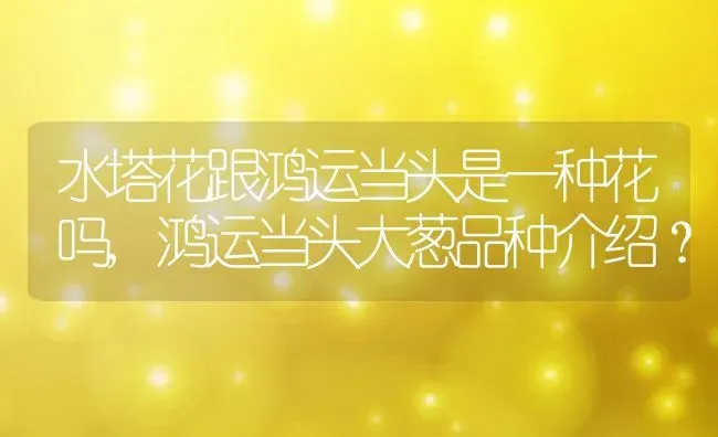水塔花跟鸿运当头是一种花吗,鸿运当头大葱品种介绍？ | 养殖学堂