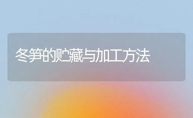 冬笋的贮藏与加工方法 | 养殖技术大全