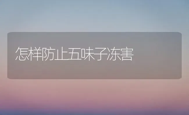 怎样防止五味子冻害 | 养殖知识