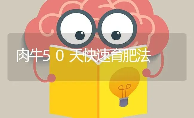 肉牛50天快速育肥法 | 养殖技术大全