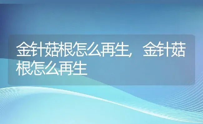 金针菇根怎么再生,金针菇根怎么再生 | 养殖科普