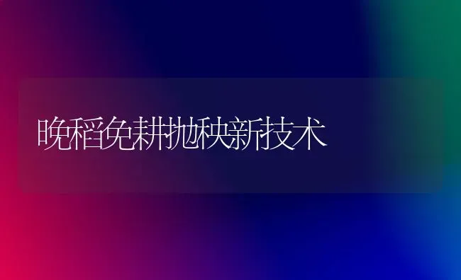 晚稻免耕抛秧新技术 | 养殖知识