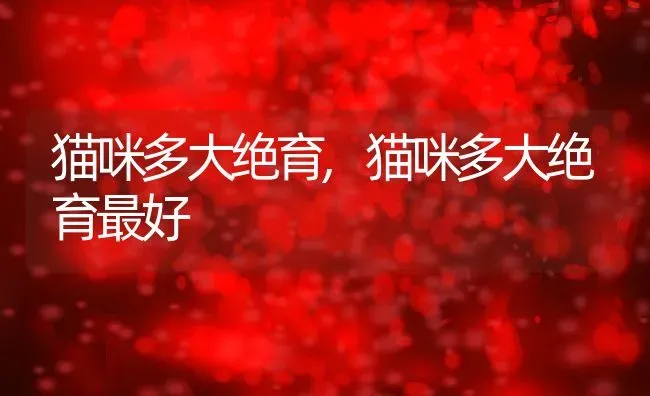 猫咪多大绝育,猫咪多大绝育最好 | 养殖科普
