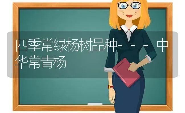 大葱贮藏的六种方法 | 养殖技术大全