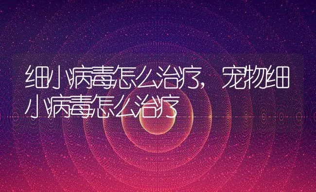 细小病毒怎么治疗,宠物细小病毒怎么治疗 | 养殖科普