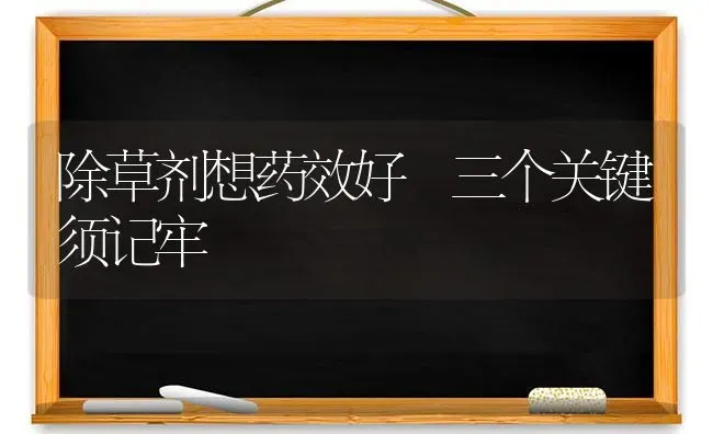 除草剂想药效好 三个关键须记牢 | 养殖技术大全