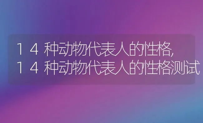 14种动物代表人的性格,14种动物代表人的性格测试 | 养殖资料