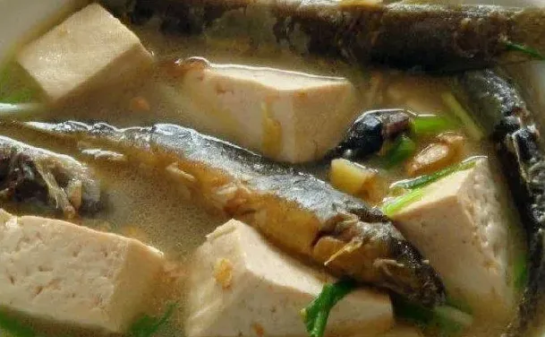 泥鳅的功效与禁忌有哪些 | 农广天地