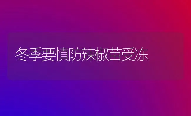 冬季要慎防辣椒苗受冻 | 养殖技术大全