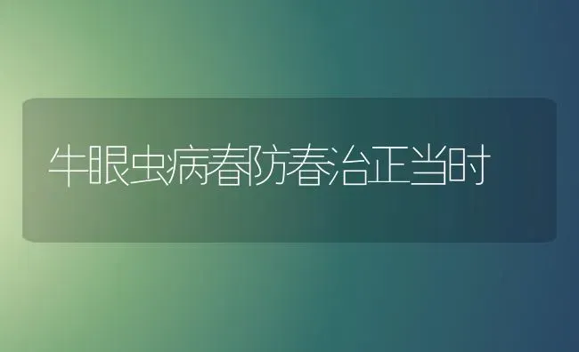 牛眼虫病春防春治正当时 | 养殖技术大全