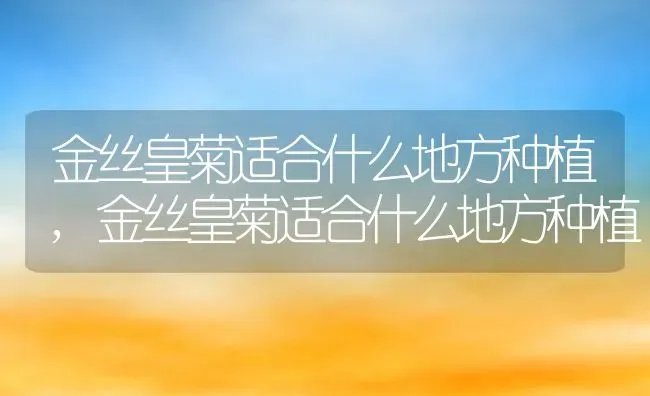 空气凤梨的养殖方法和注意事项,空气凤梨的养殖方法和注意事项 | 养殖科普