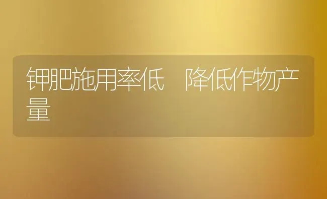 钾肥施用率低 降低作物产量 | 养殖知识