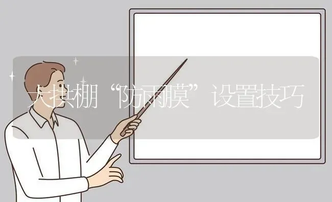 大拱棚“防雨膜”设置技巧 | 养殖知识