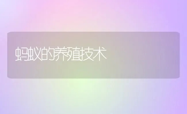 蚂蚁的养殖技术 | 养殖技术大全