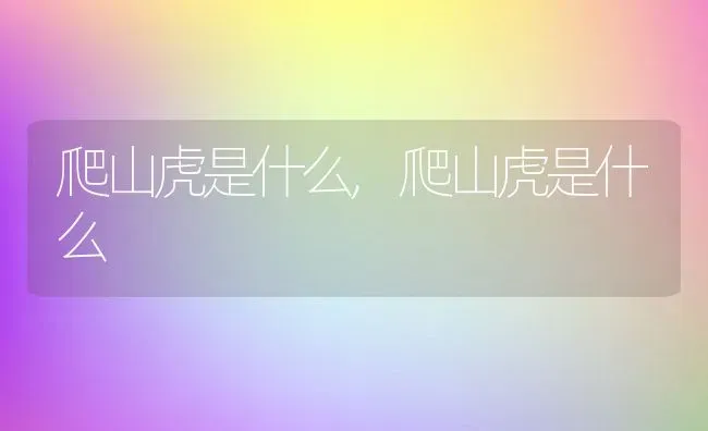 爬山虎是什么,爬山虎是什么 | 养殖科普