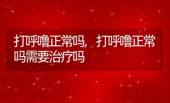 打呼噜正常吗,打呼噜正常吗需要治疗吗 | 养殖科普