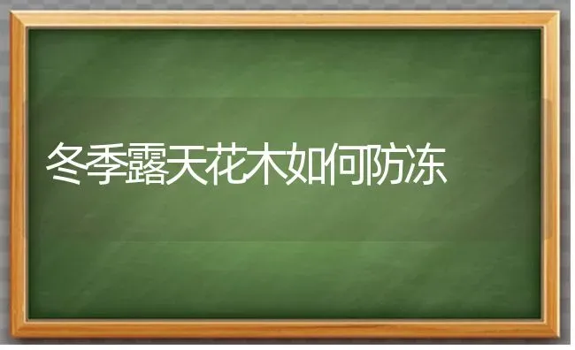 冬季露天花木如何防冻 | 养殖知识