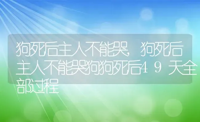 狗死后主人不能哭,狗死后主人不能哭狗狗死后49天全部过程 | 养殖科普