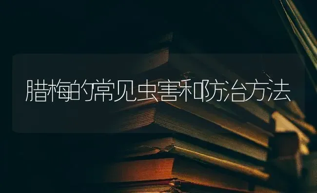 腊梅的常见虫害和防治方法 | 养殖技术大全