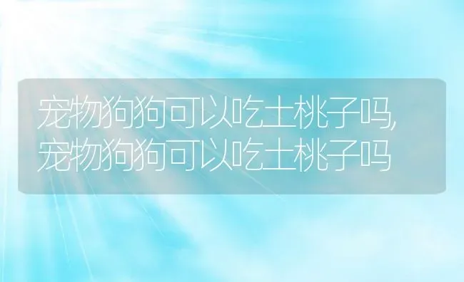 宠物狗狗可以吃土桃子吗,宠物狗狗可以吃土桃子吗 | 养殖科普
