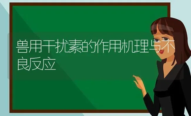 兽用干扰素的作用机理与不良反应 | 养殖知识