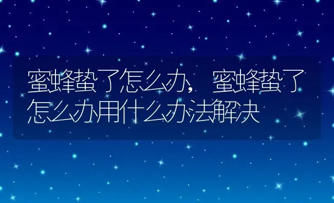 蜜蜂蛰了怎么办,蜜蜂蛰了怎么办用什么办法解决 | 养殖科普