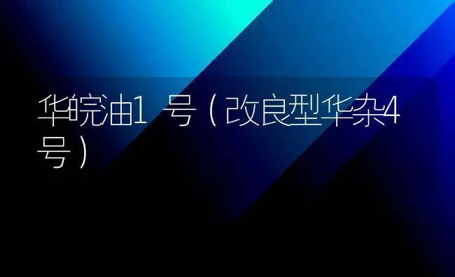 华皖油1号(改良型华杂4号) | 养殖技术大全