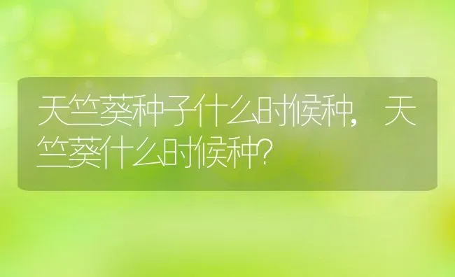 天竺葵种子什么时候种,天竺葵什么时候种？ | 养殖科普