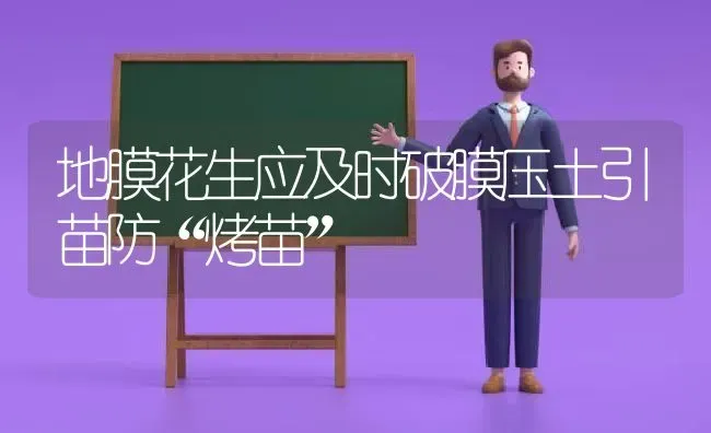 地膜花生应及时破膜压土引苗防“烤苗” | 养殖技术大全