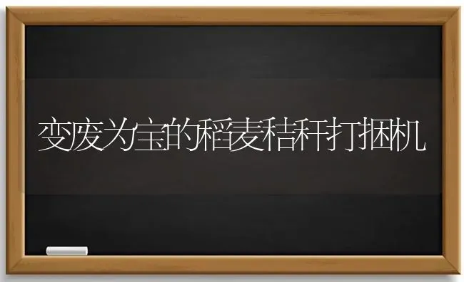 变废为宝的稻麦秸秆打捆机 | 养殖技术大全