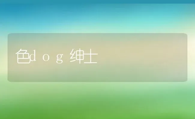 色dog绅士 | 养殖资料