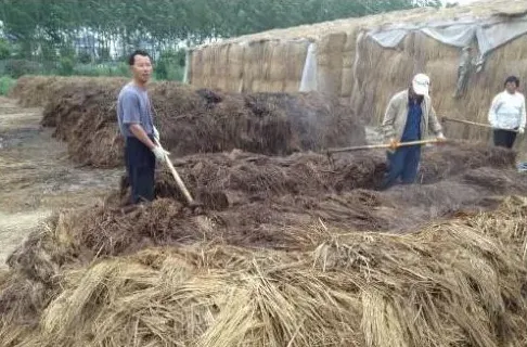 农作物秸秆堆肥发酵技术及好处 | 农广天地