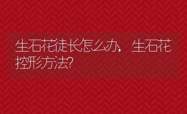 生石花徒长怎么办,生石花控形方法？ | 养殖学堂