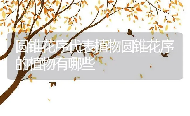 圆锥花序代表植物圆锥花序的植物有哪些 | 养殖学堂