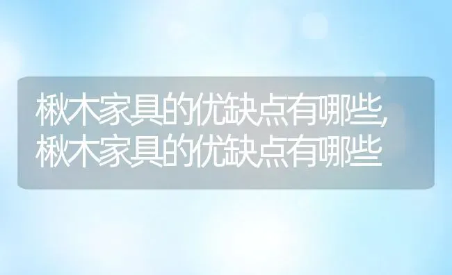 楸木家具的优缺点有哪些,楸木家具的优缺点有哪些 | 养殖科普