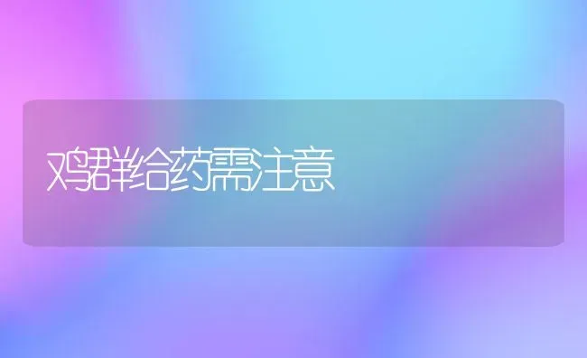 如何让牛安全过冬 | 养殖技术大全