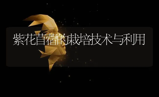 紫花苜蓿的栽培技术与利用 | 养殖知识