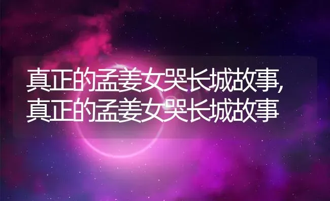 木盆适合种什么花,桂花树可不可以放在盆子里养？ | 养殖科普