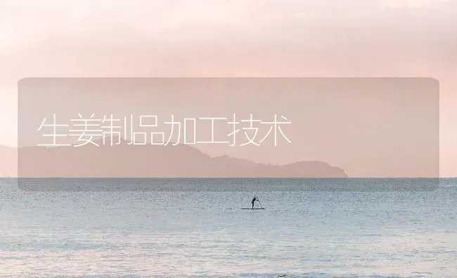 生姜制品加工技术 | 养殖技术大全