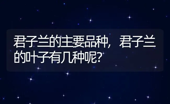 君子兰的主要品种,君子兰的叶子有几种呢？ | 养殖科普