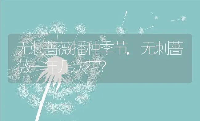 无刺蔷薇播种季节,无刺蔷薇一年几次花？ | 养殖科普