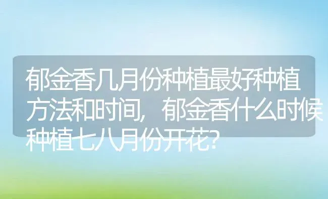 郁金香几月份种植最好种植方法和时间,郁金香什么时候种植七八月份开花？ | 养殖科普