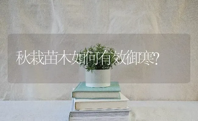 秋栽苗木如何有效御寒? | 养殖知识