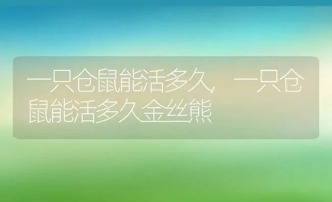 一只仓鼠能活多久,一只仓鼠能活多久金丝熊 | 养殖科普