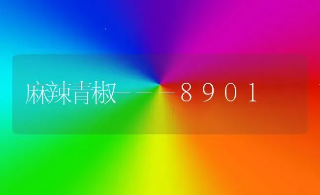 麻辣青椒---8901 | 养殖技术大全