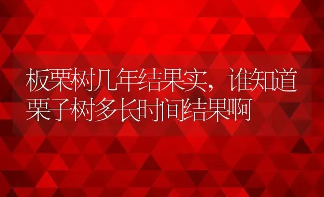 板栗树几年结果实,谁知道栗子树多长时间结果啊 | 养殖学堂