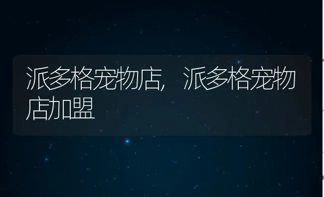 派多格宠物店,派多格宠物店加盟 | 养殖资料