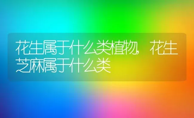 花生属于什么类植物花生芝麻属于什么类 | 养殖学堂